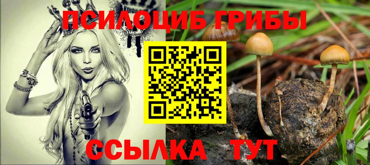 цена   Вход с VPN  Коряжма  Галлюциногенные грибы GOLDEN TEACHER  Галлюциногенные грибы GOLDEN TEACHER 